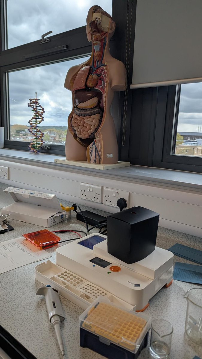 Bento Lab 🧬 tweet media