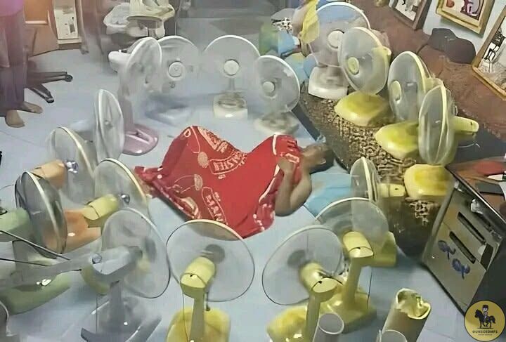 UNSOEDFESS | BASE UNSOED tweet media