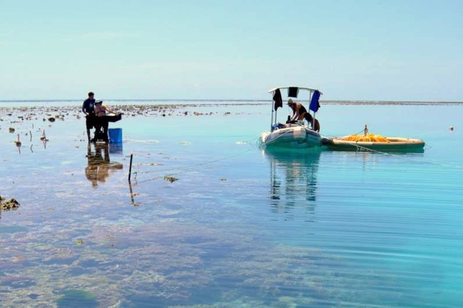 WetTribe's tweet photo. Ocean acidification will severely impair coral reef growth, repair, and survival before the end of the century if carbon dioxide emissions continue unchecked, according to research. #WetTribe #TidetotheOcean #FridayFieldUpdate #ClimateChange #OceanAcidification https://t.co/mkbIgKZqLD