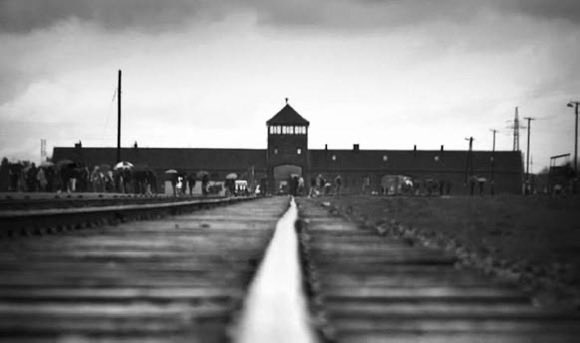 Alain Weber tweet media