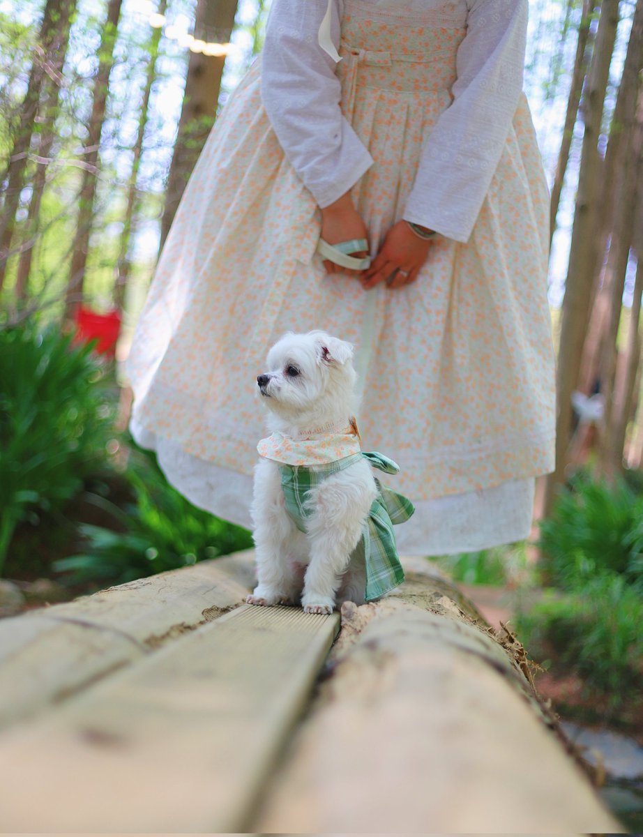 🌺정화🌺 tweet media