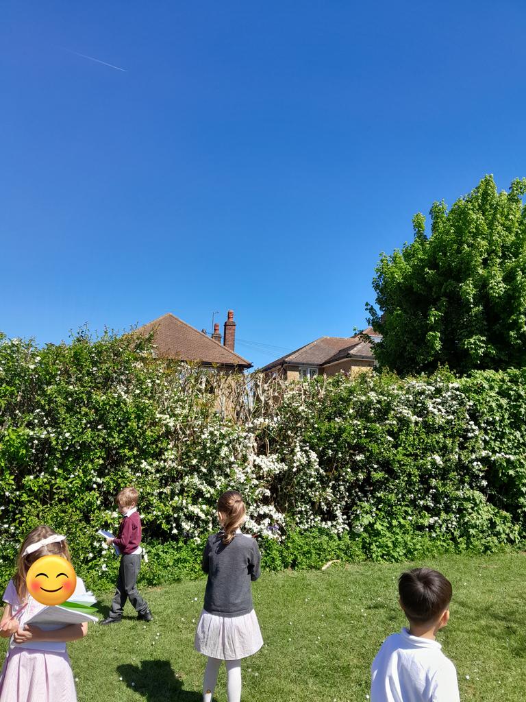MrsMaceyBH's tweet photo. Looking for signs of Spring on our nature walk 🏵🪺🌞🐣 @busheyheathjm  @MrsGriffithsBH https://t.co/aSjkpxCzxu