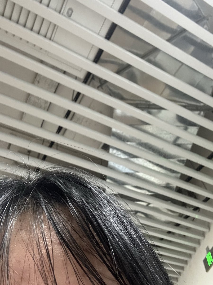雏田 tweet media
