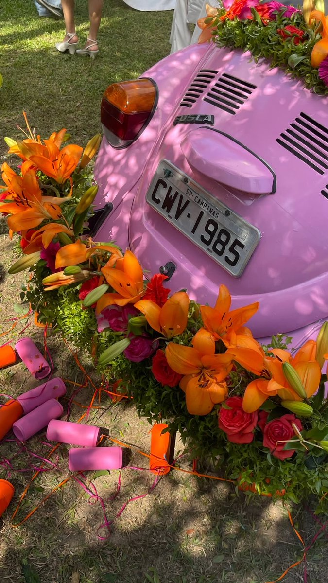 elle 🌿 tweet media