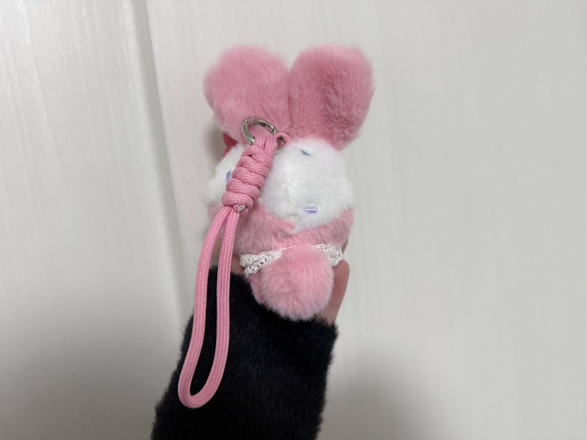 𝓡🐾 tweet media
