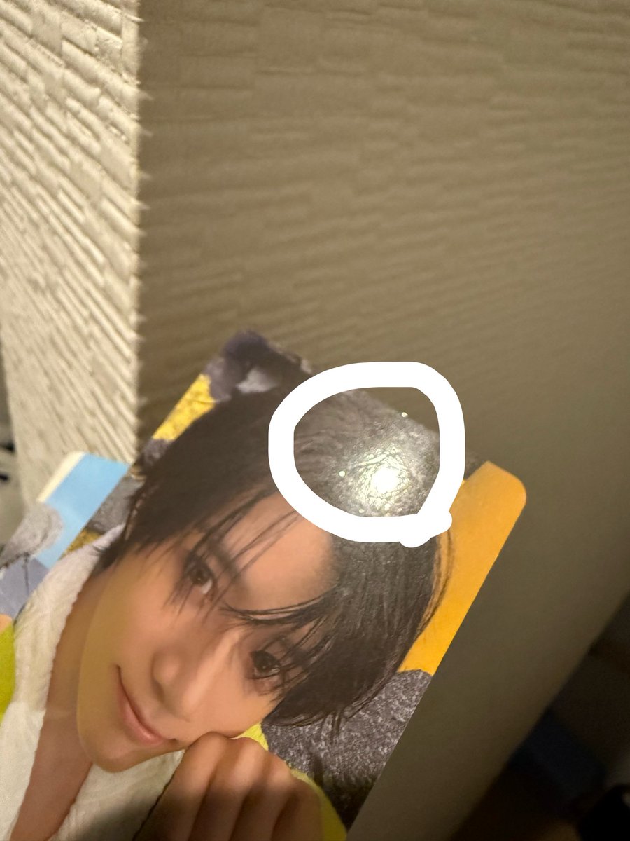 Lily tweet media