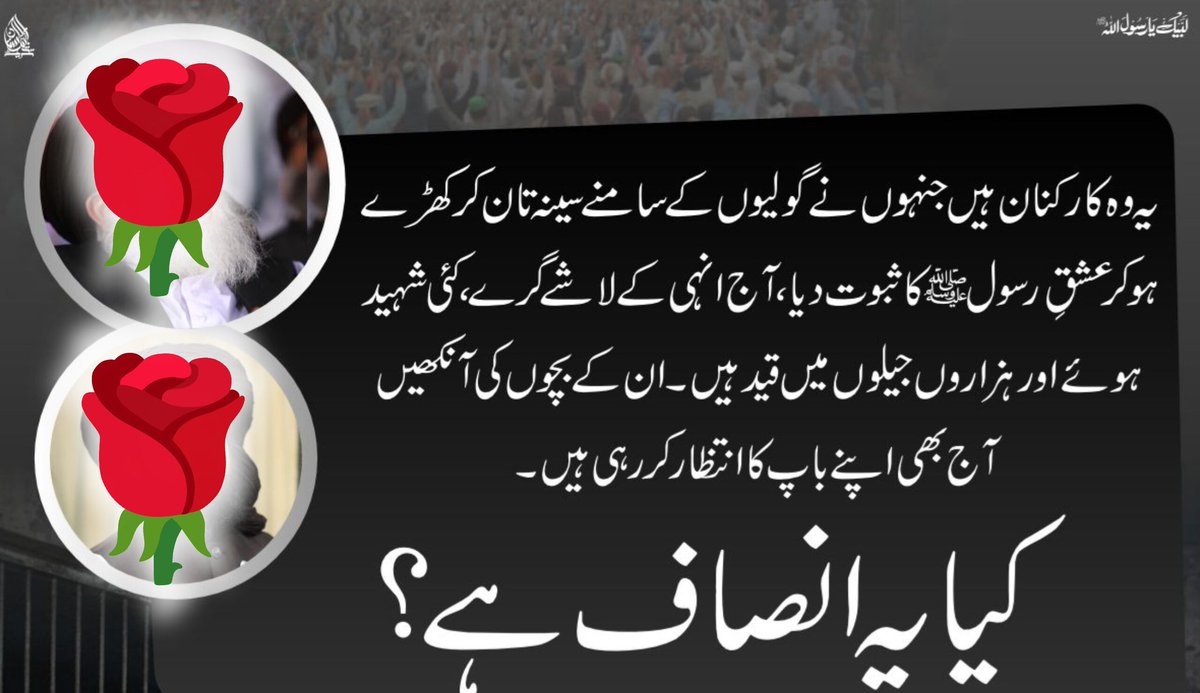 Nomi Mir tweet media