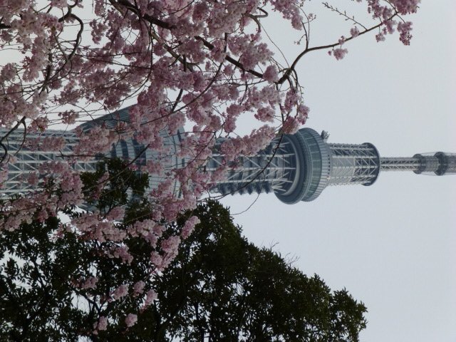 2018ALPHA-TRIBE tweet media