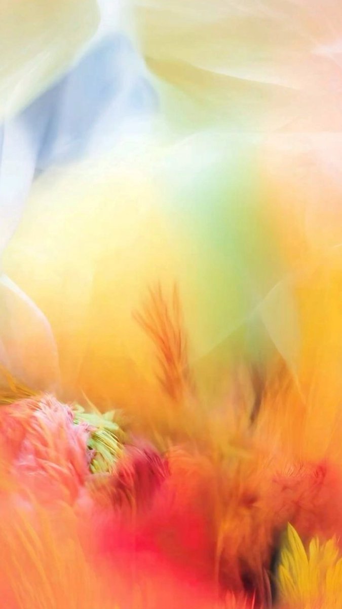 swansong tweet media