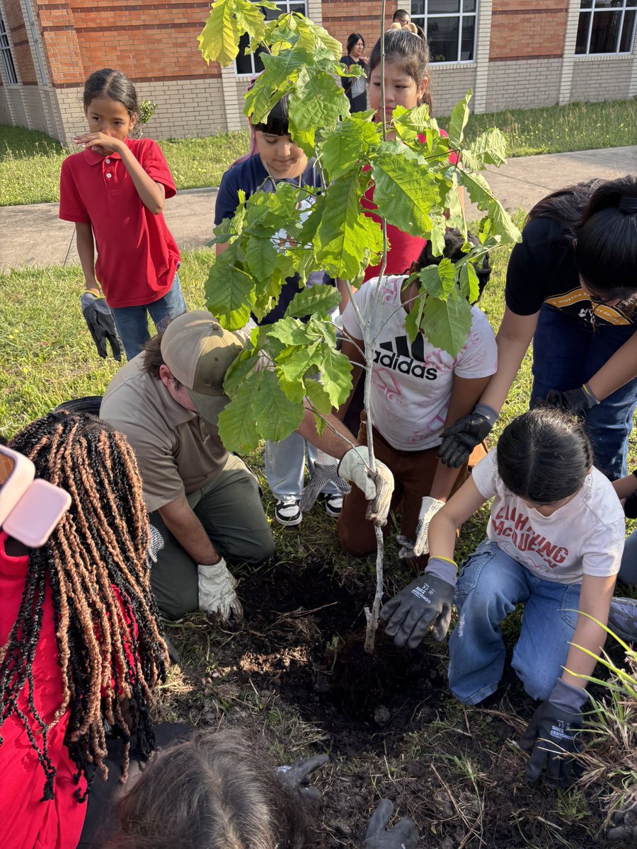 Alief STEM tweet media