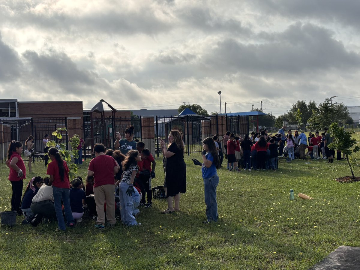Alief STEM tweet media