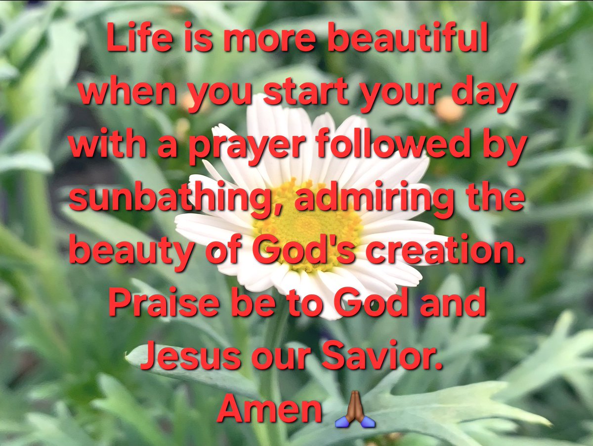 Good morning everyone 🌞
Have a blessed day ✝️🙏🏾