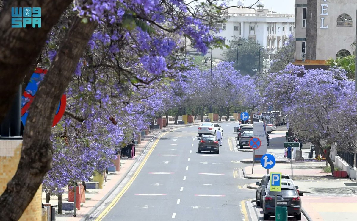 واس جودة الحياة tweet media