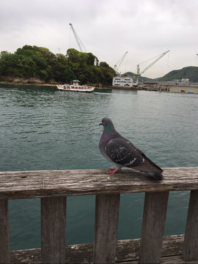フトモ...m tweet media