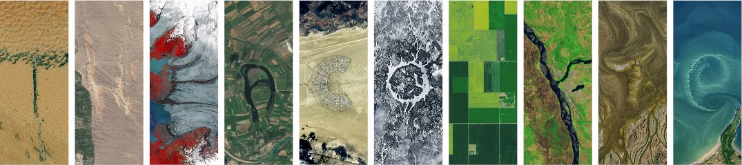 apothecaryqimir's tweet image. #RENEW