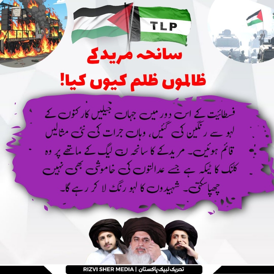 Talha Rizvi tweet media