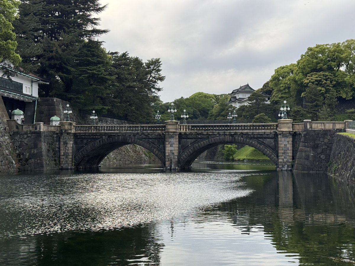 june 🌼 tweet media