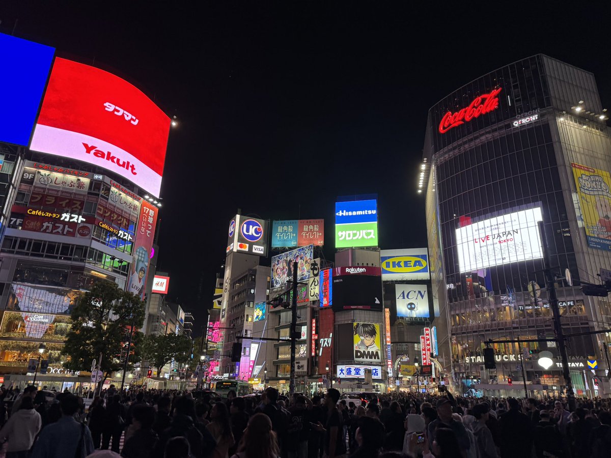 june 🌼 tweet media