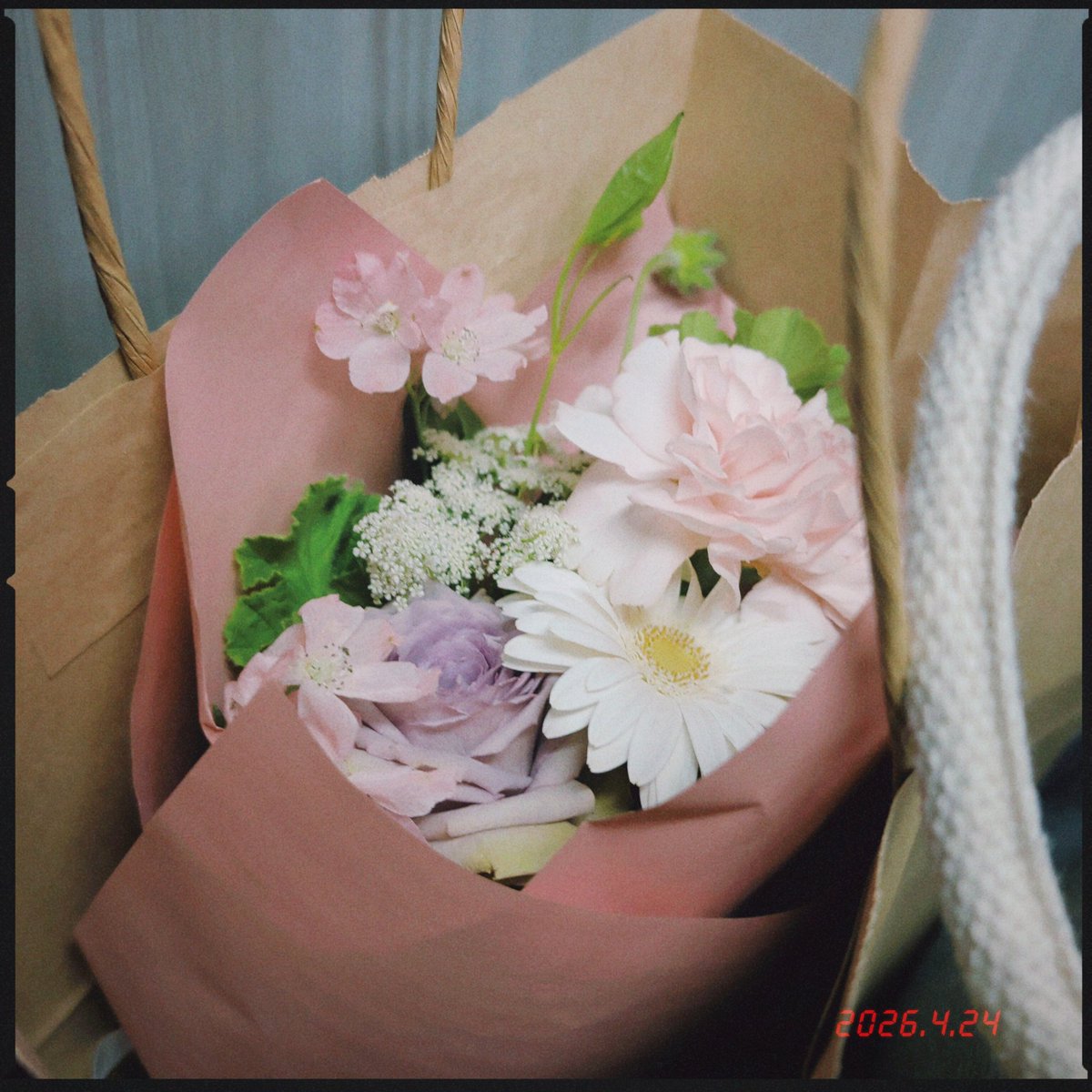 菊衣千花 tweet media
