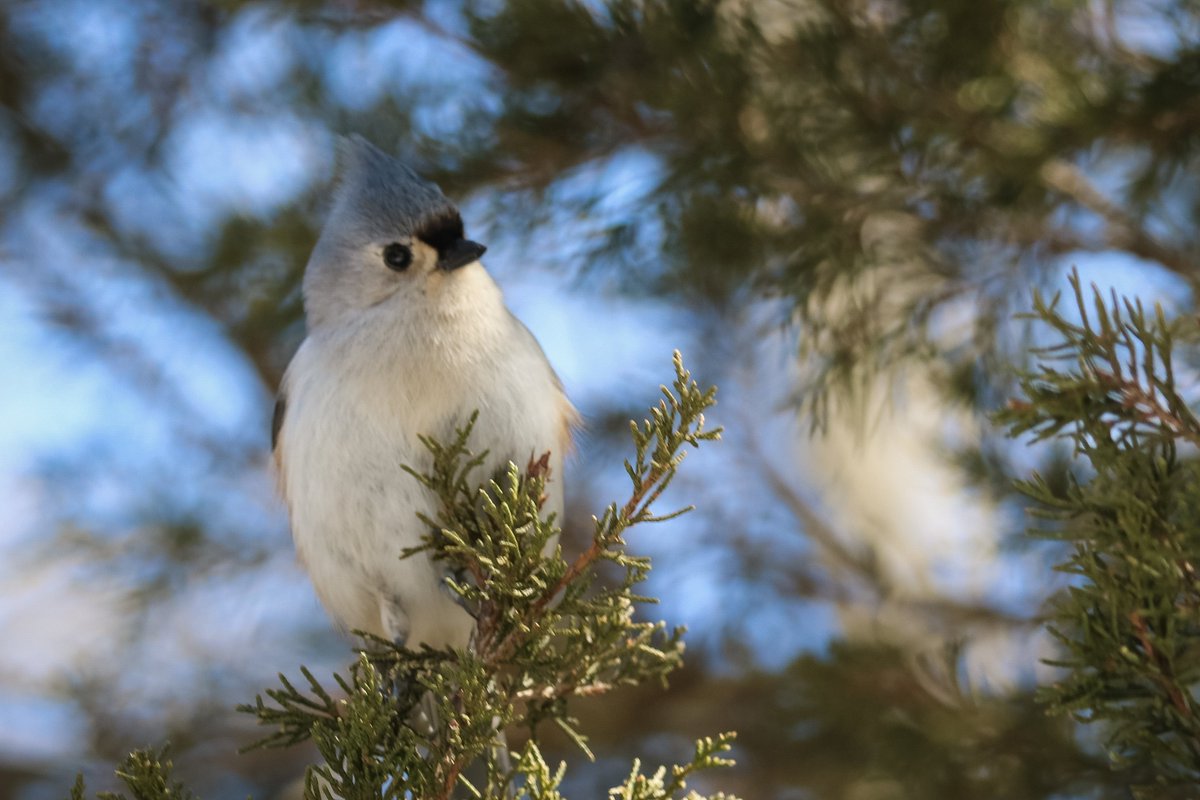 𝚂𝚞 𖠰 tweet media