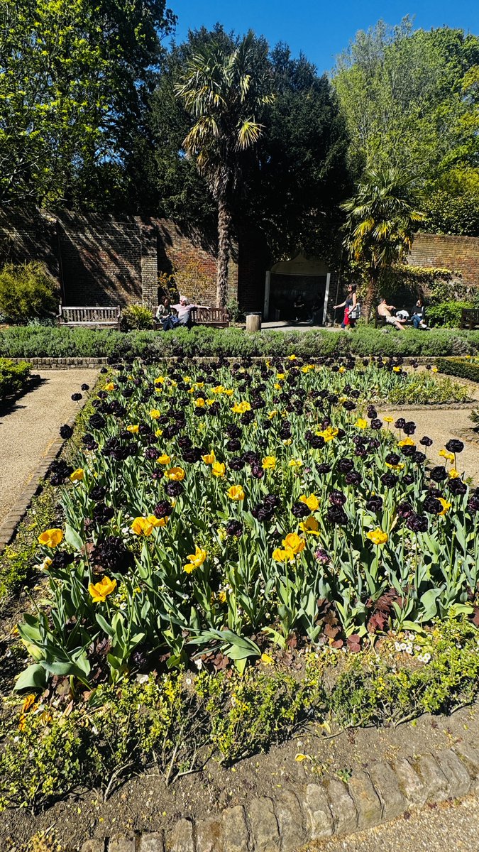 Beautiful Holland Park