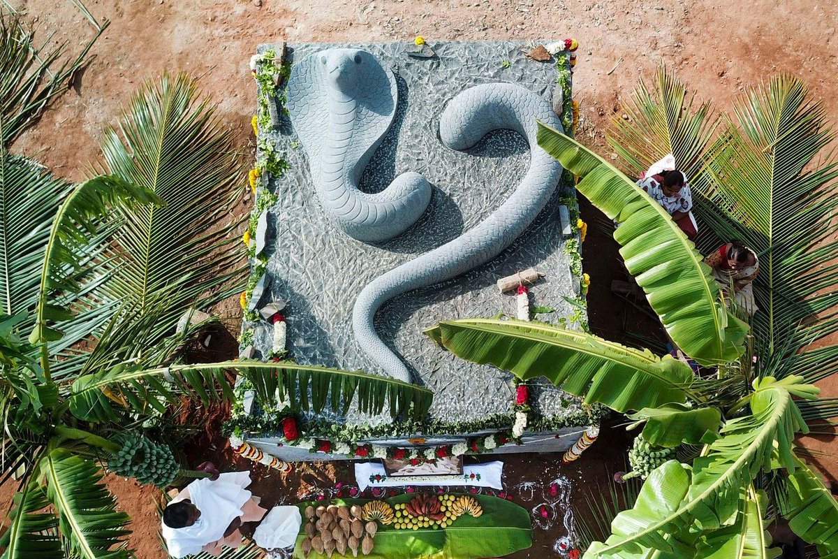 Sudha Simple tweet media