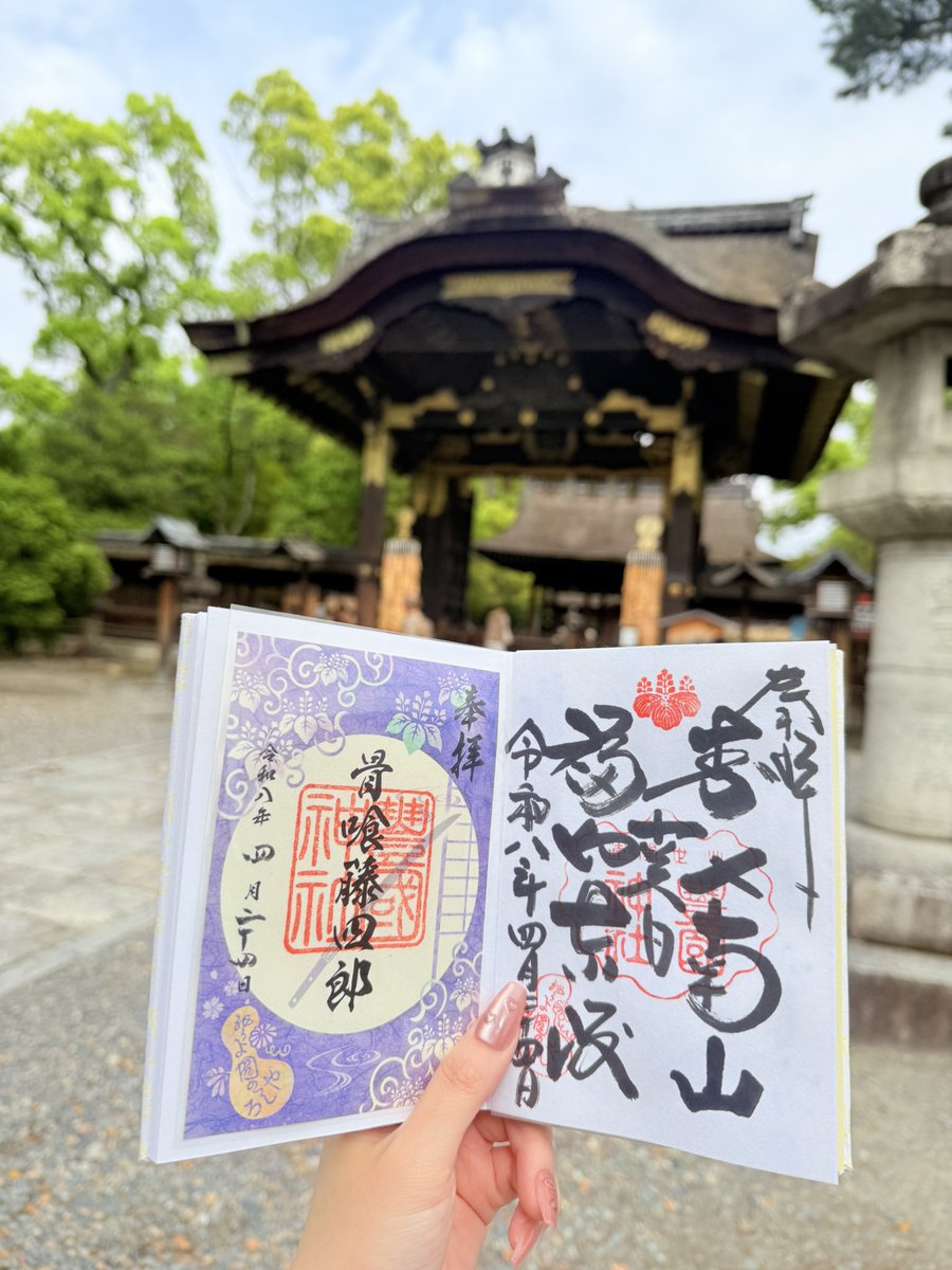 こゆだ tweet media