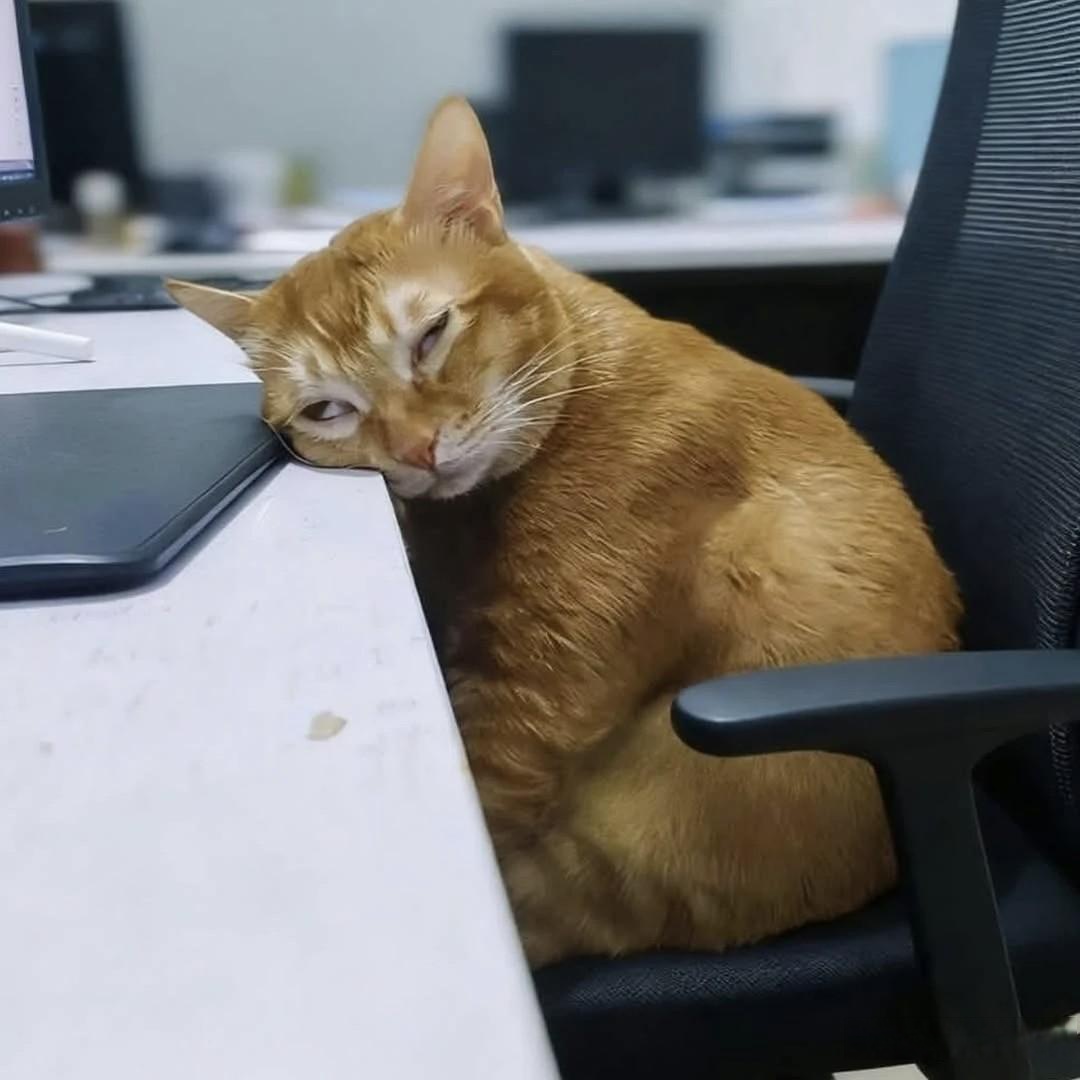 John Pratt tweet media