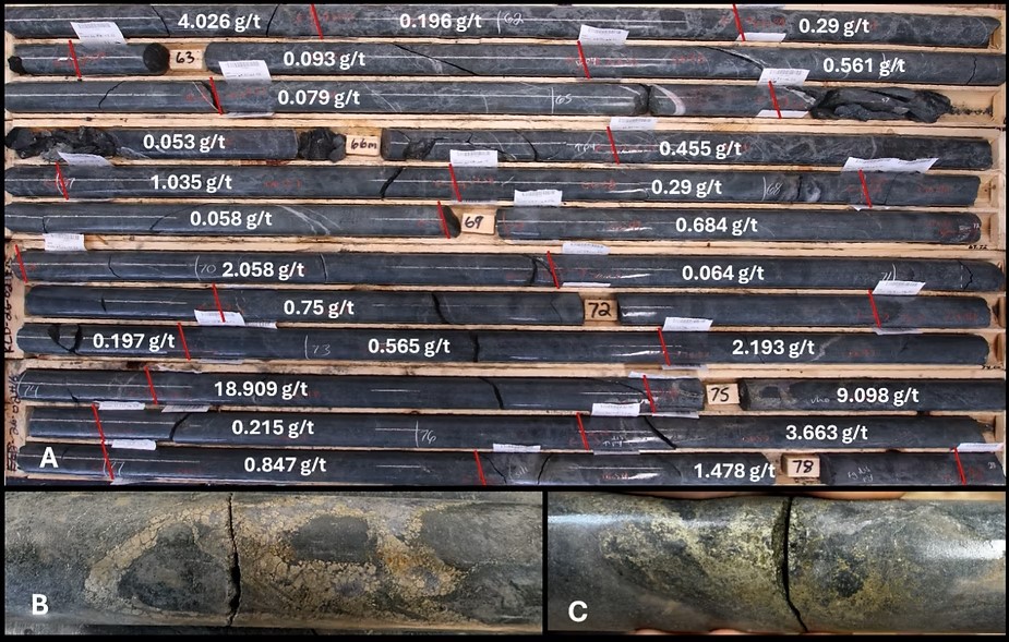 Kirkland Lake Discoveries tweet media