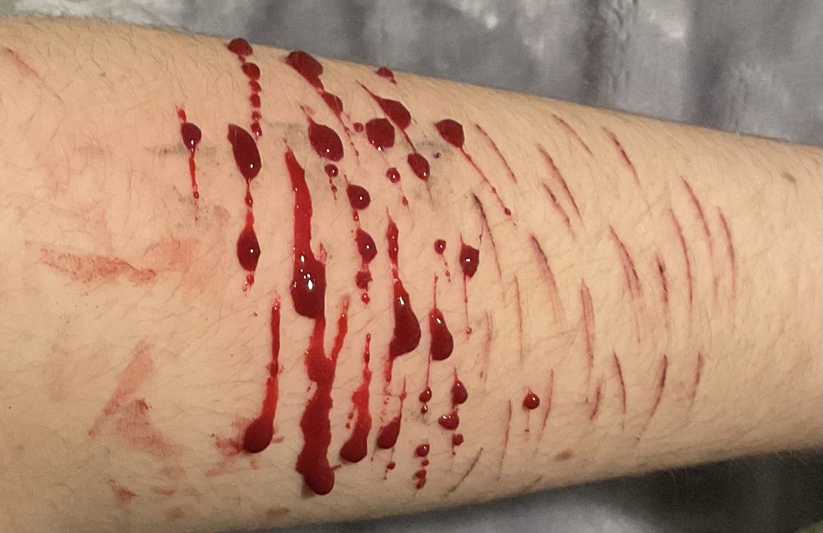 ◟♯ . / ryan ross of shedtwt. ! tweet media