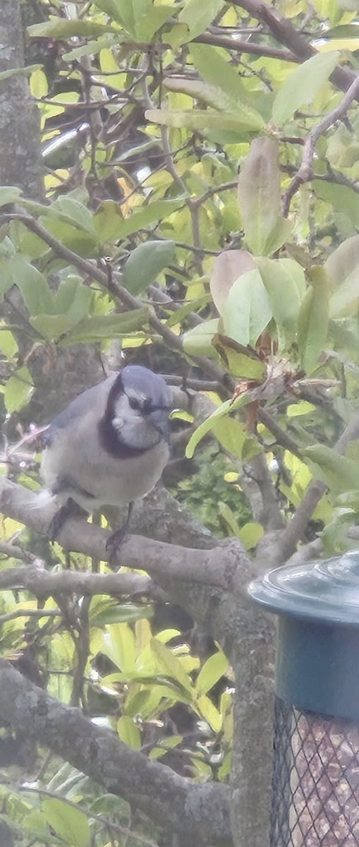 𝓛𝓪𝓾𝓻𝓮𝓷 ꨄ tweet media