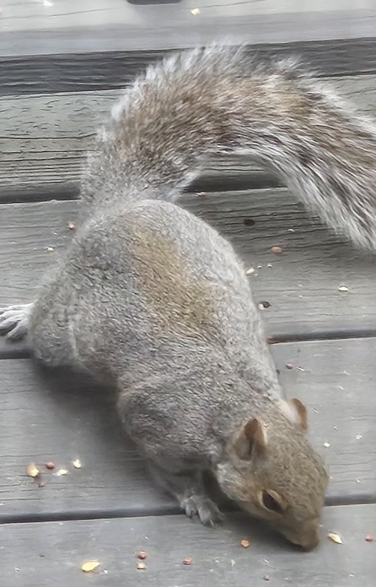 𝓛𝓪𝓾𝓻𝓮𝓷 ꨄ tweet media