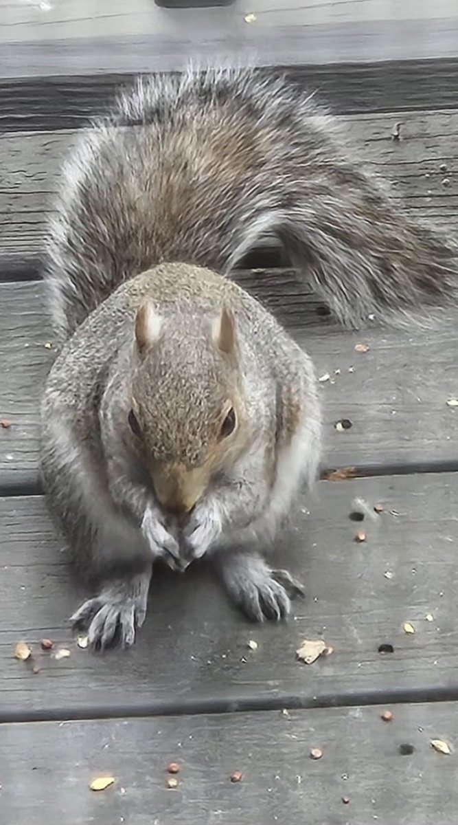 𝓛𝓪𝓾𝓻𝓮𝓷 ꨄ tweet media