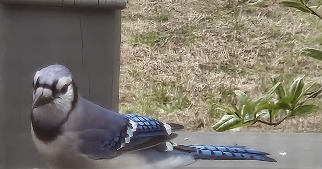 𝓛𝓪𝓾𝓻𝓮𝓷 ꨄ tweet media