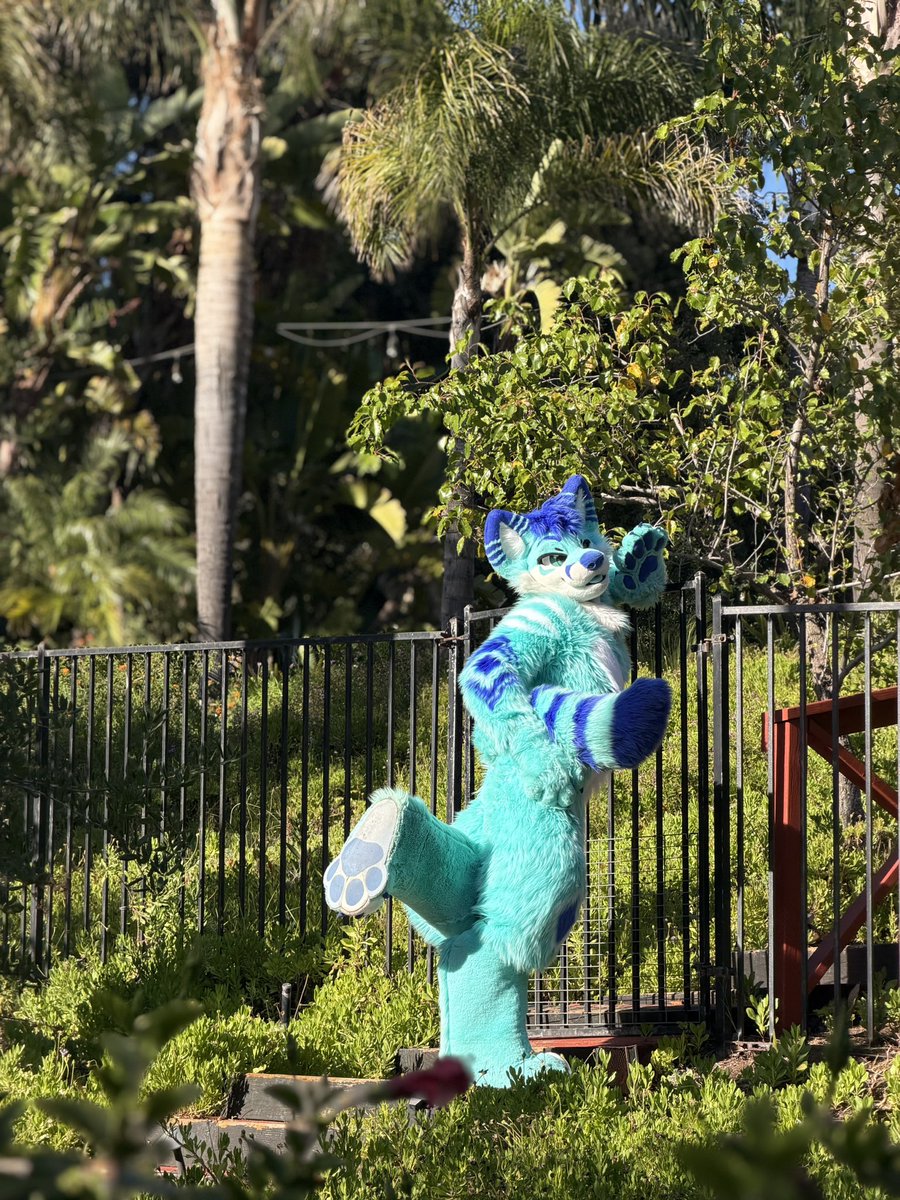 Geo 🩵 tweet media