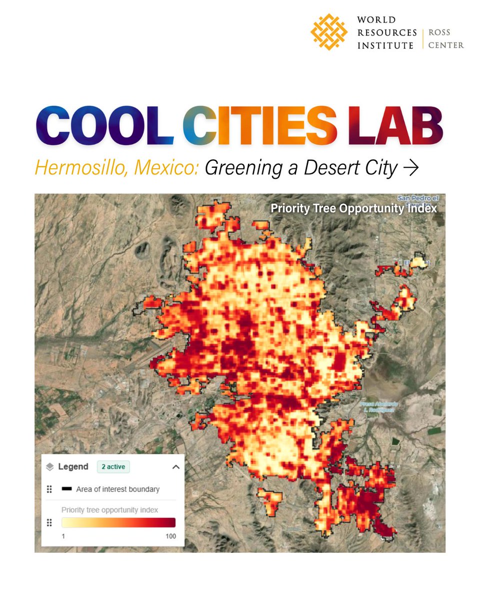 WRIRossCities's tweet image. Hermosillo, 🇲🇽, is no stranger to heat — but there was a time when the #city was more equipped with vegetation to handle it.

Using data from WRI's #CoolCitiesLab, this "city of sun" ☀️ is now restoring its tree cover 🌳.

Explore ➡️ coolcities.wri.org

#ArborDay @Googleorg