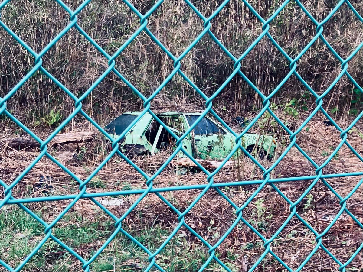 #新緑の季節なので緑の画像を貼る