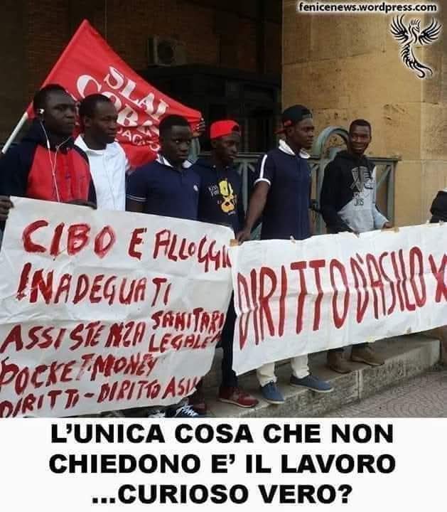 Fely 💤🇮🇹 tweet media