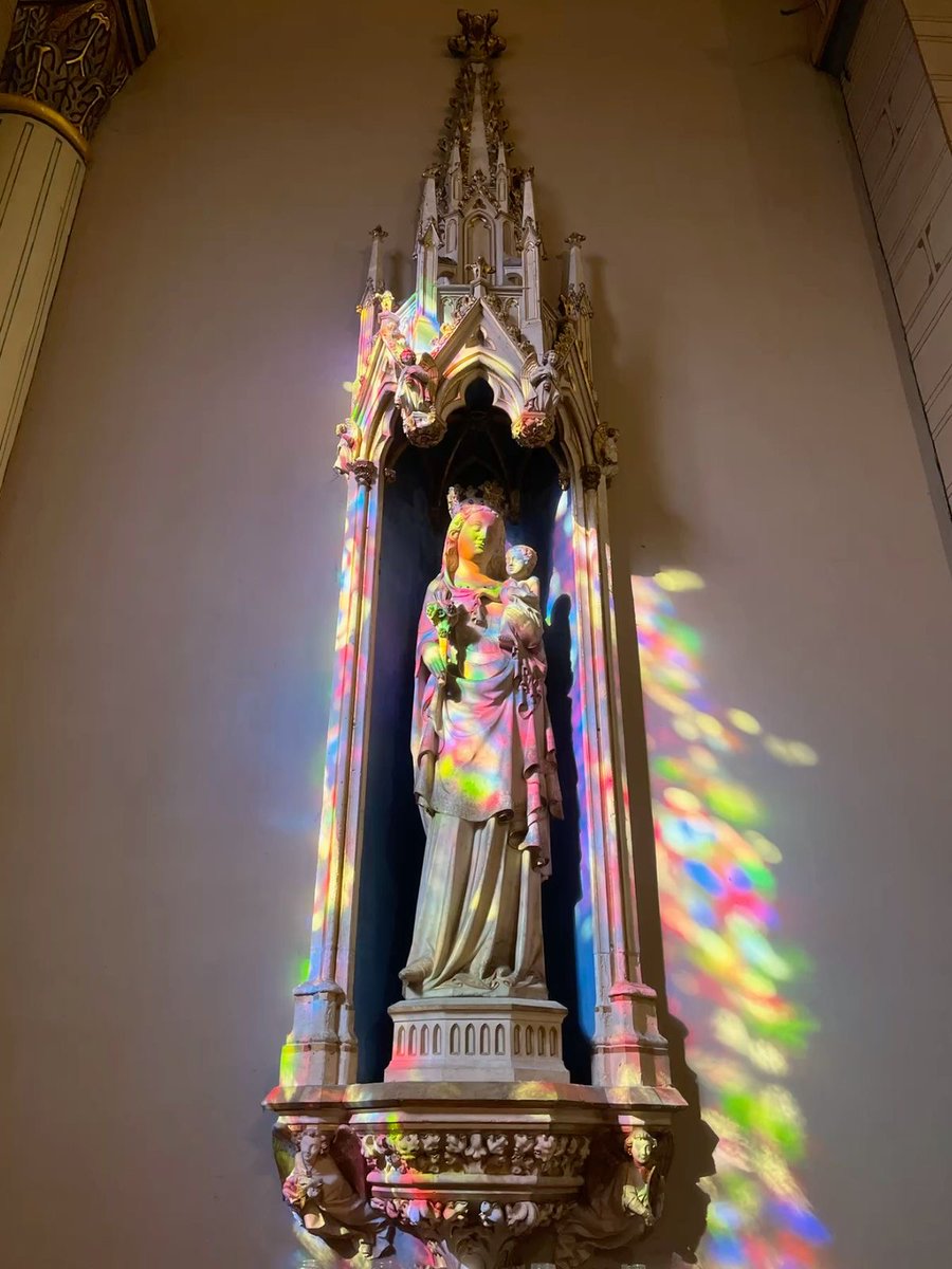 𝚕𝚒𝚝𝚝𝚕𝚎 𝚘𝚗𝚎 ♱🇻🇦 tweet media