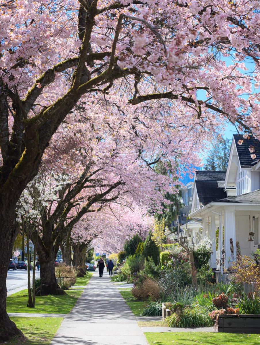 WanderLens tweet media