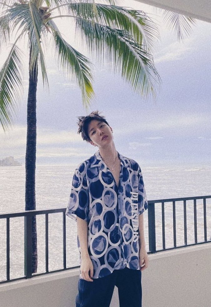 HOBICORE 🪭 tweet media