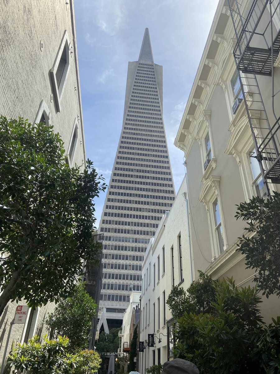 citizen_odyssey's tweet image. 🌈 tall #beautiful #sf #building in #rainbow San Francisco #sunny  Sunday