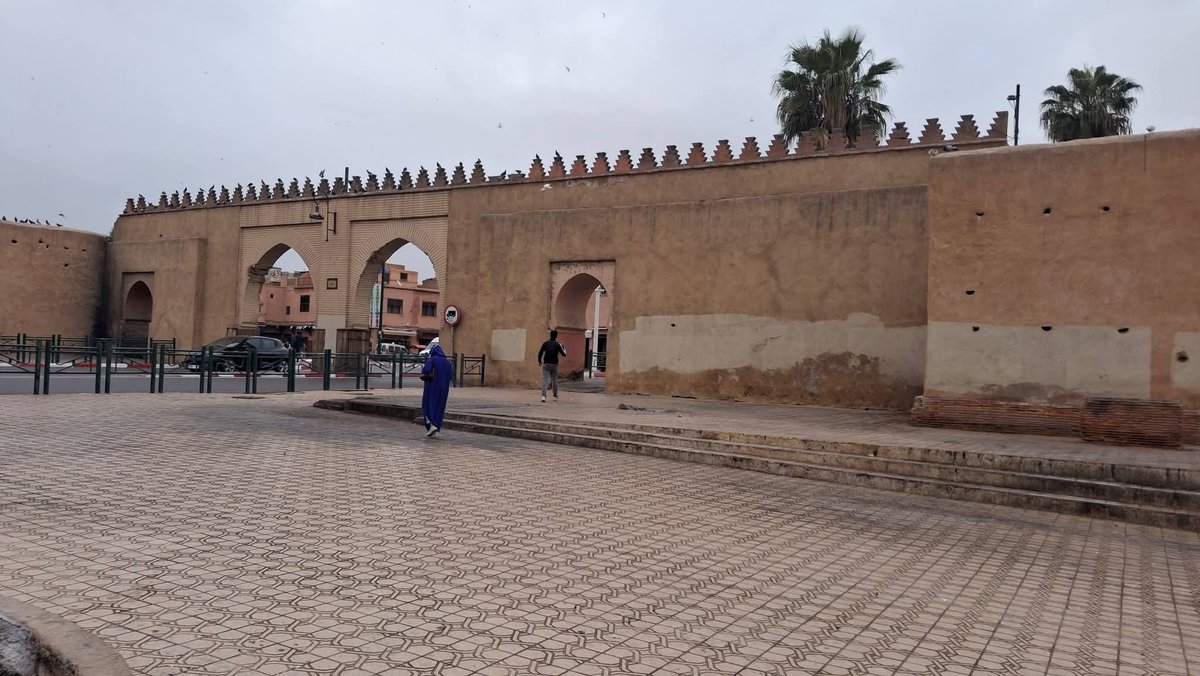 Mounir ELFAKIR tweet media