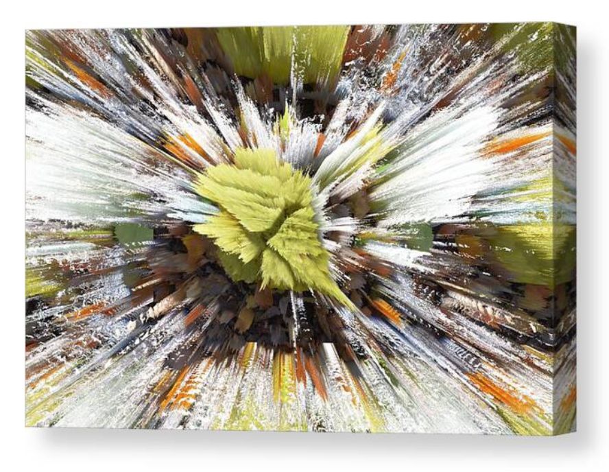 DebraMartz's tweet image. Autumn Explosion Canvas Print / Canvas Art by Debra Martz 
Get It Here: fineartamerica.com/featured/autum… 

#colorful #autumn #abstract #colorExplosion #PhotoArt #PhotographyIsArt #giftideas #AYearForArt #WallArt #HomeDecor #CanvasPrint