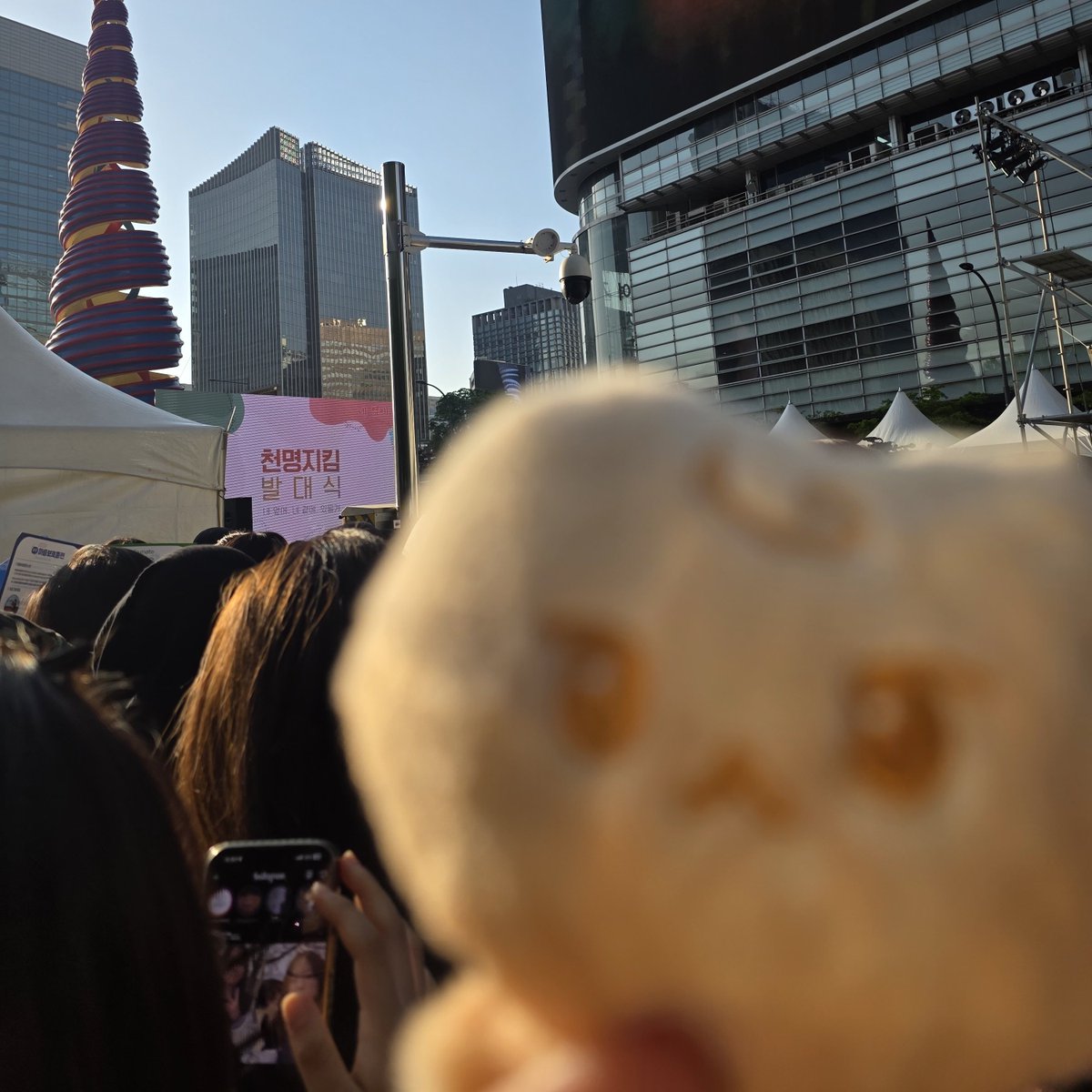 셀리 #𝑷𝒓𝒐𝒎𝒊𝒔𝒆 tweet media
