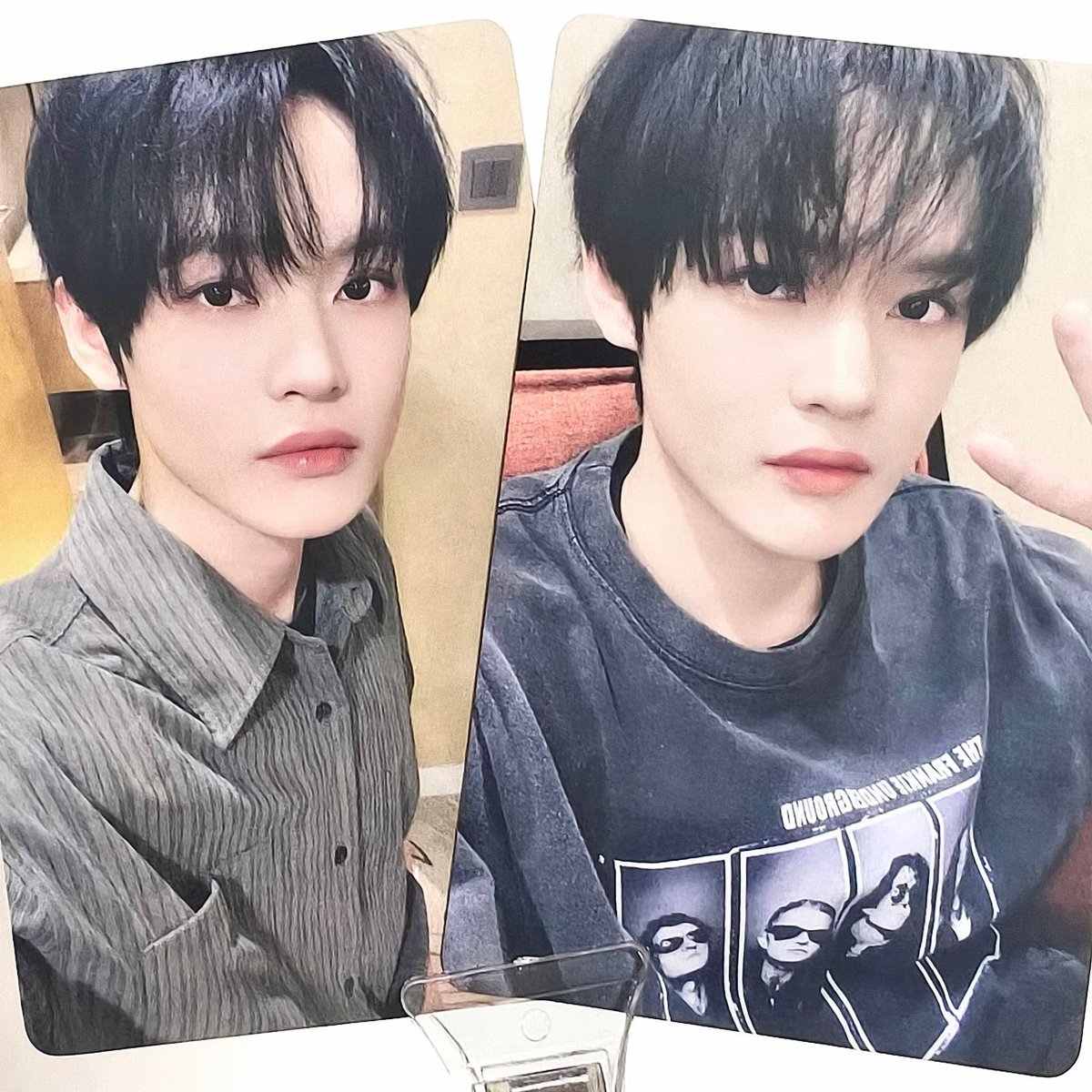 🐯🐬 tweet media