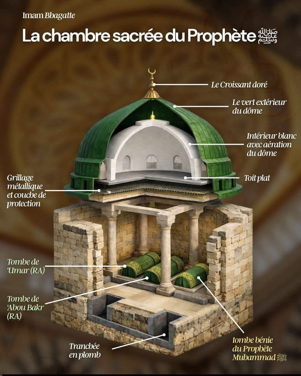🇩🇿مهدي ⵎⴻⵀⴷⵉ tweet media
