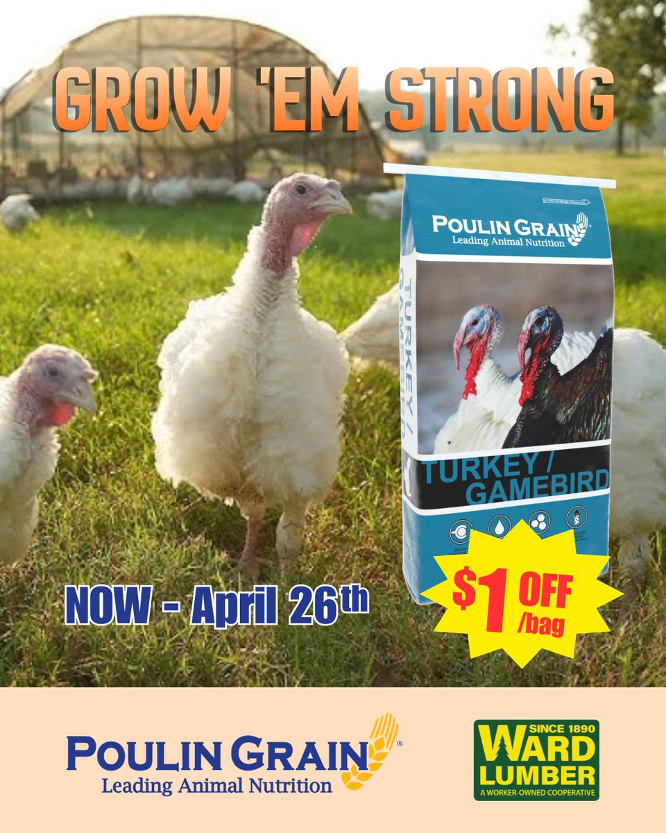 wardlumber's tweet image. Grow ‘em STRONG 💪 with Poulin Grain Feeds available every day. Swine Grower, Turkey Grower, and Chicken Broiler Crumbles all $1 off now through April 26th.🎉

PLUS order $200+ in feed and get FREE DELIVERY!🚚

#WardLumberStrong #WorkerOwned #ShopLocal #ADK #NorthCountry