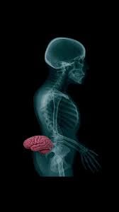 Karsten Albrecht tweet media