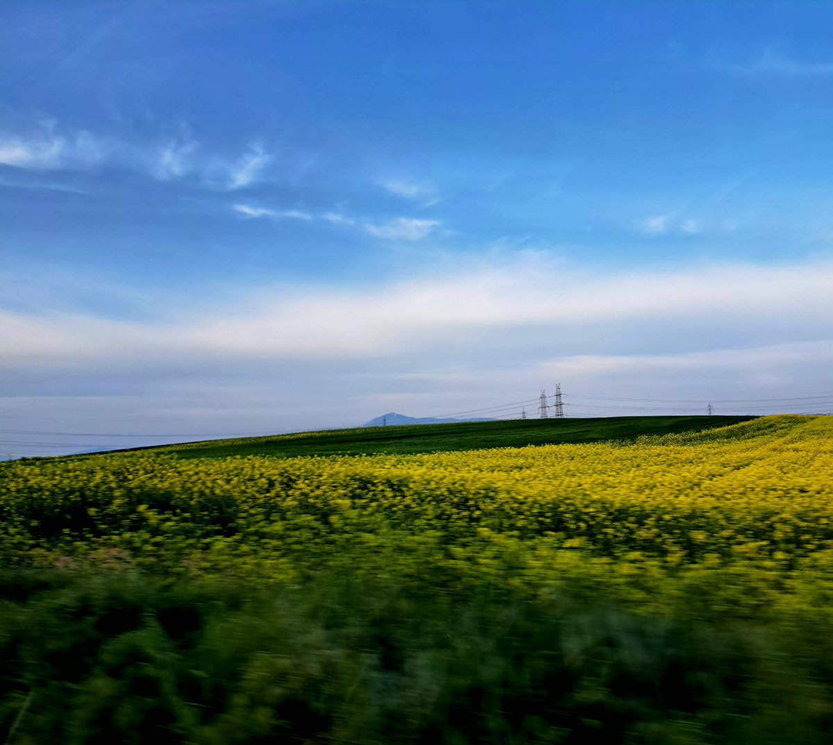 Ch0colate_rain tweet media